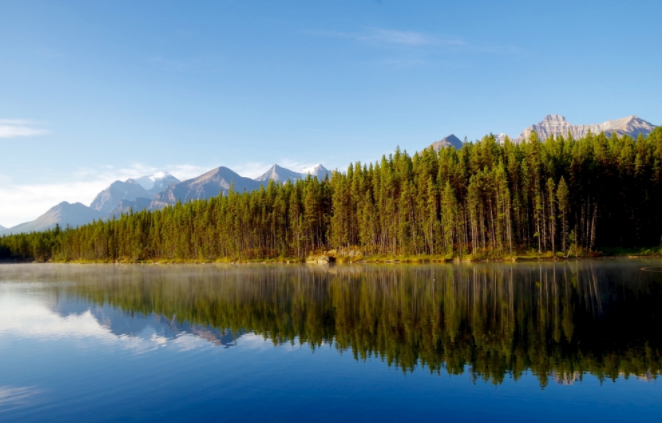 水质在线监测仪凭借六大优势搞定水质问题（水质在线监测仪的优势特点介绍）