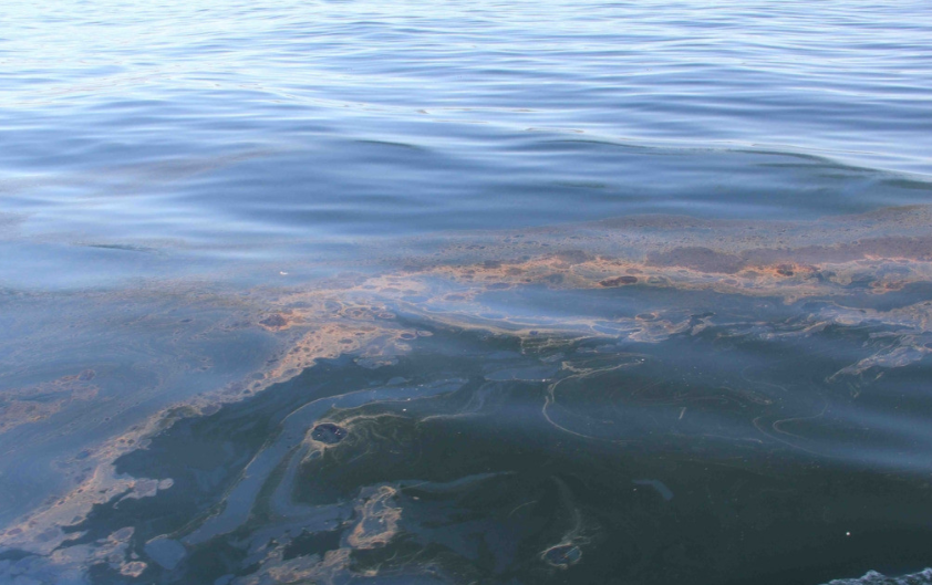 海洋环境污染应急监测—多参数水质测试仪的应用